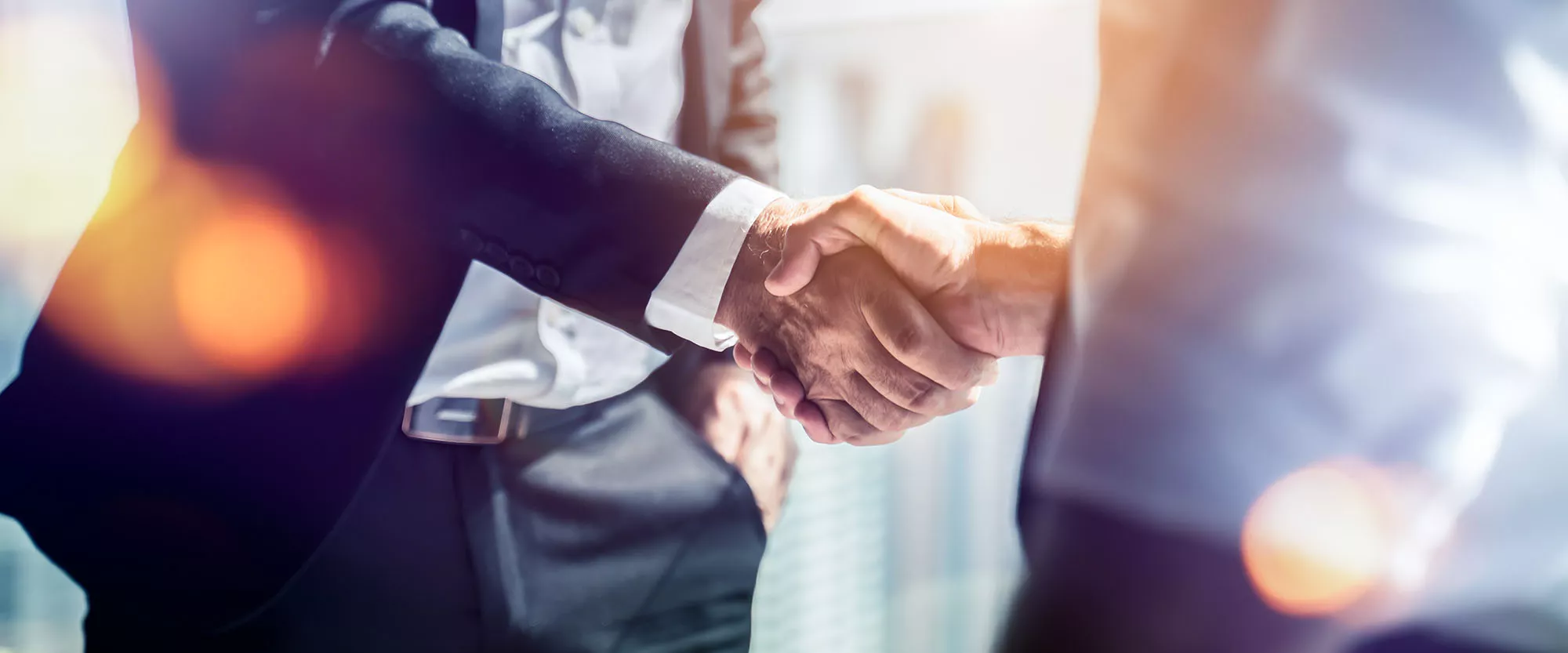 partner-werden-adobestock-454297497
